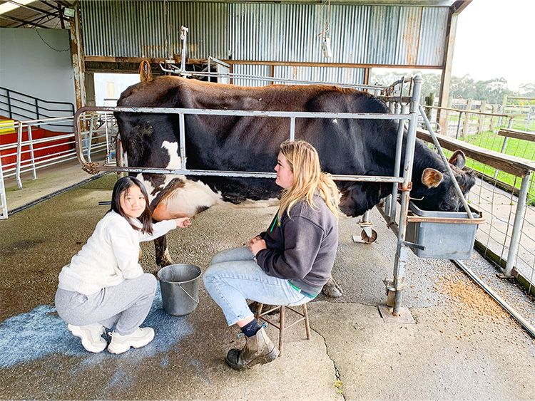 墨爾本大學名校英語體驗營