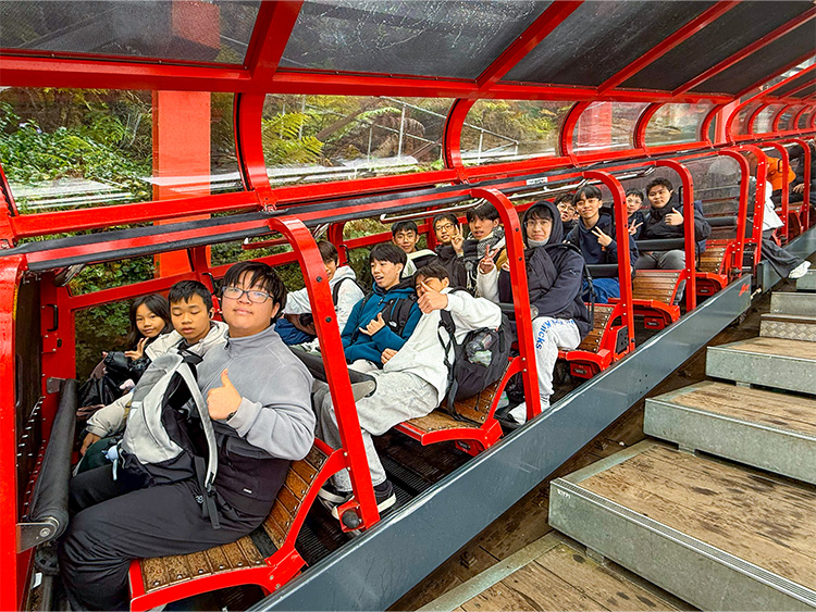 悉尼都會文化體驗假期