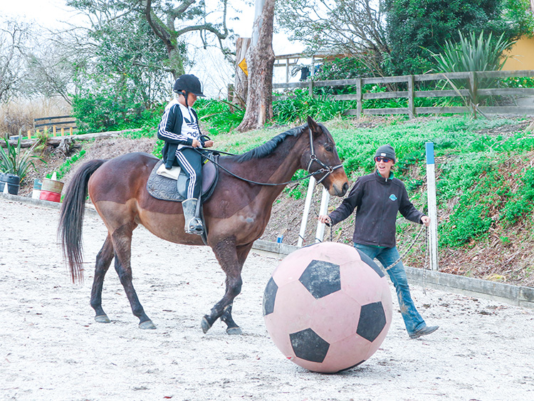  新西蘭文化躍動之旅