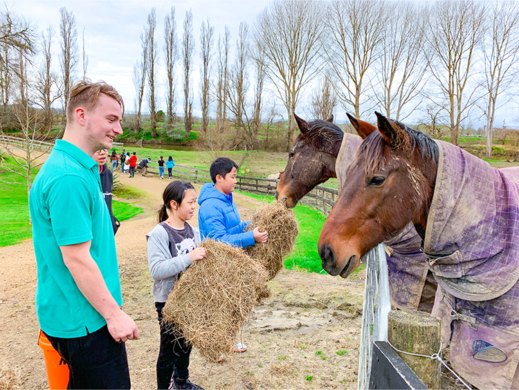  新西蘭文化躍動之旅