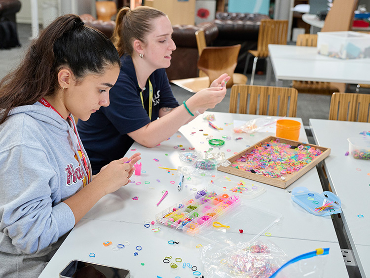 貴族學府全攻營