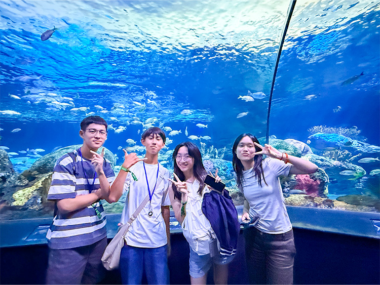 多倫多文化風情體驗之旅