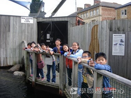 繽FUN遊學生活體驗之旅,學聯遊學團