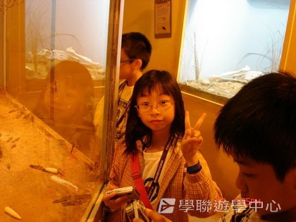 繽FUN遊學生活體驗之旅,學聯遊學團