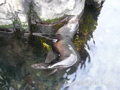 繽FUN遊學生活體驗之旅,學聯遊學團