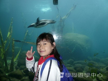 繽FUN遊學生活體驗之旅,學聯遊學團