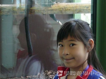 繽FUN遊學生活體驗之旅,學聯遊學團