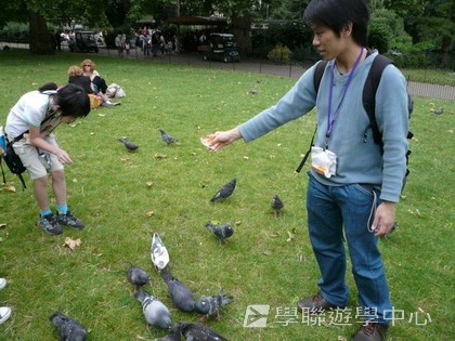 繽FUN遊學生活體驗之旅,學聯遊學團