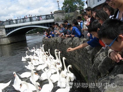 繽FUN遊學生活體驗之旅,學聯遊學團
