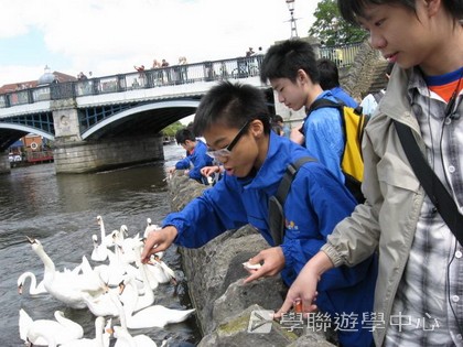 繽FUN遊學生活體驗之旅,學聯遊學團
