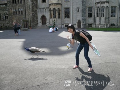 繽FUN遊學生活體驗之旅,學聯遊學團
