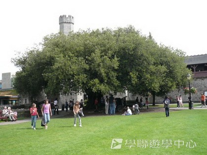 繽FUN遊學生活體驗之旅,學聯遊學團