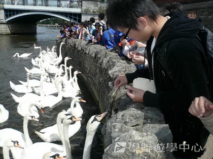 繽FUN遊學生活體驗之旅,學聯遊學團