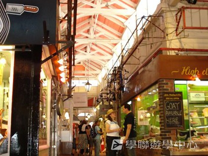 曼聯足球夢想飛躍之旅,學聯遊學團