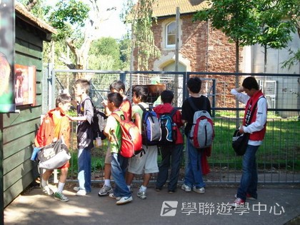 曼聯足球夢想飛躍之旅,學聯遊學團