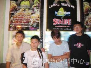 名校英語文化體驗營,學聯遊學團