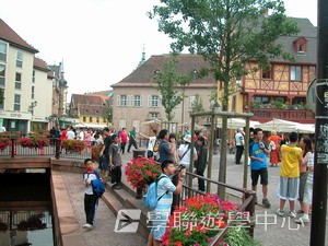 歐洲遊學課程 (住宿旅遊巴士),學聯遊學團