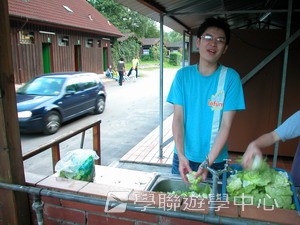 歐洲遊學課程 (住宿旅遊巴士),學聯遊學團