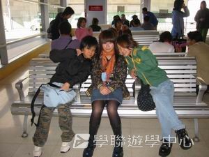 悉尼都會文化體驗遊學假期,學聯遊學團