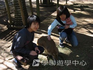 悉尼都會文化體驗遊學假期,學聯遊學團