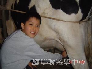 布里斯本名校遊學假期,學聯遊學團