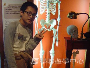 布里斯本名校遊學假期,學聯遊學團