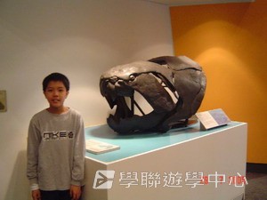 布里斯本名校遊學假期,學聯遊學團