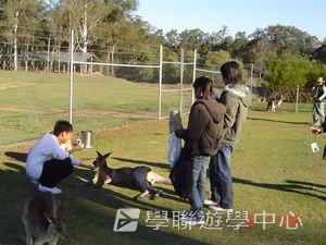 布里斯本名校遊學假期,學聯遊學團