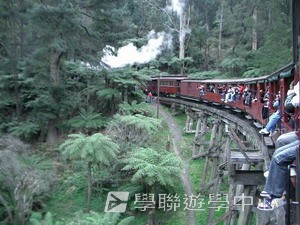 墨爾本名校英語學術體驗,學聯遊學團