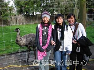 路多盧亞文化探奇英語遊學假期,學聯遊學團