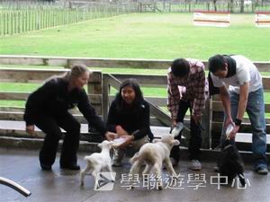 路多盧亞文化探奇英語遊學假期,學聯遊學團