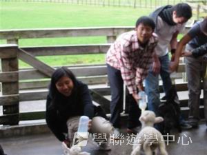 路多盧亞文化探奇英語遊學假期,學聯遊學團