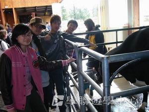 路多盧亞文化探奇英語遊學假期,學聯遊學團