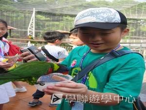 中西文化交流營,學聯遊學團