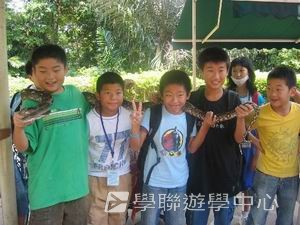 中西文化交流營,學聯遊學團