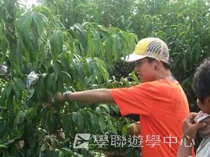 上海多元智能夏令營,學聯遊學團