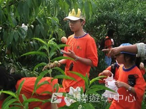 上海多元智能夏令營,學聯遊學團