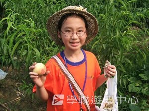 上海多元智能夏令營,學聯遊學團