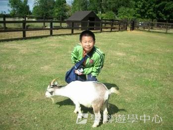 趣味英語兒童營,學聯遊學團