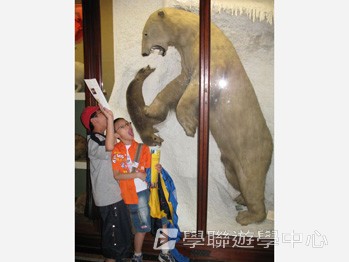 北洛福動感活力營,學聯遊學團