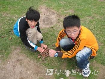 北洛福動感活力營,學聯遊學團