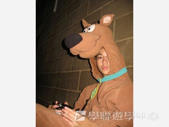 北洛福動感活力營,學聯遊學團