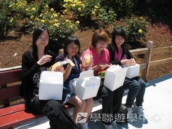 三藩市學術文化Free體驗,學聯遊學團