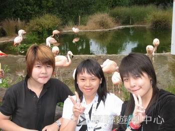 三藩市學術文化Free體驗,學聯遊學團