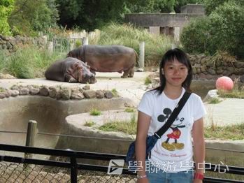 三藩市學術文化Free體驗,學聯遊學團