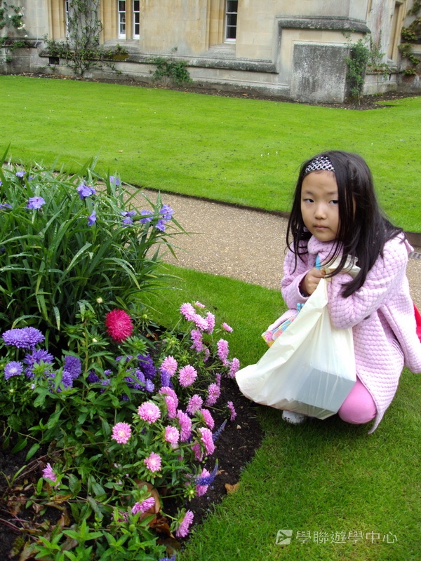 繽FUN遊學生活體驗之旅 ,學聯遊學團
