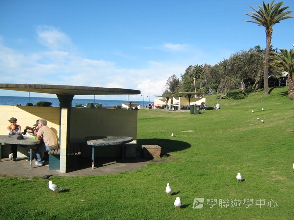 悉尼都會文化體驗遊學假期 ,學聯遊學團