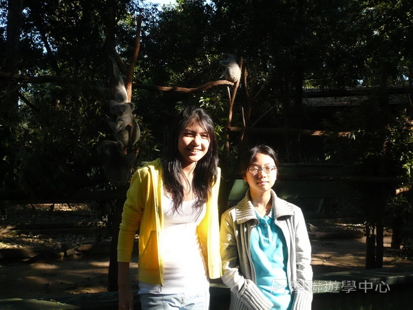 布里斯本名校遊學假期 ,學聯遊學團