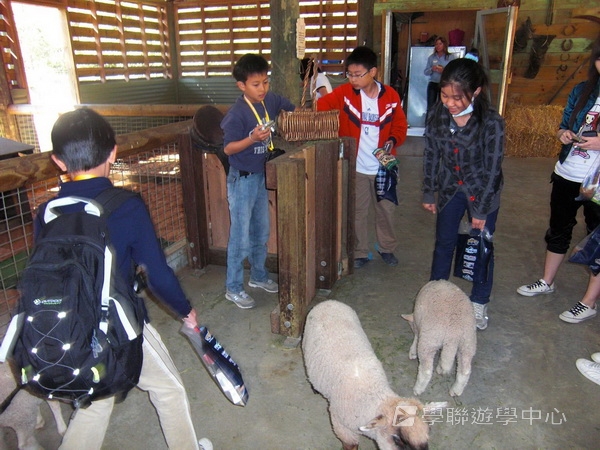 布里斯本名校遊學假期 ,學聯遊學團