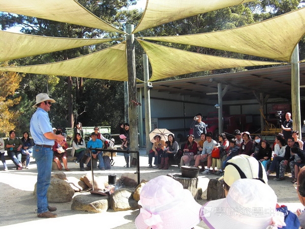 布里斯本名校遊學假期 ,學聯遊學團